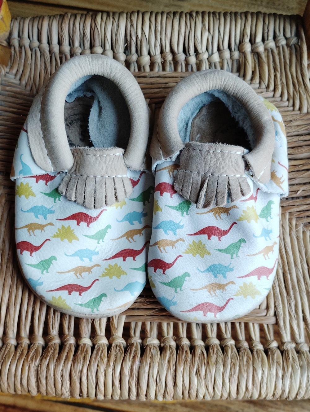 Freshly Picked Leather Multicolor Dinosaur Print Mocassin Sz 5